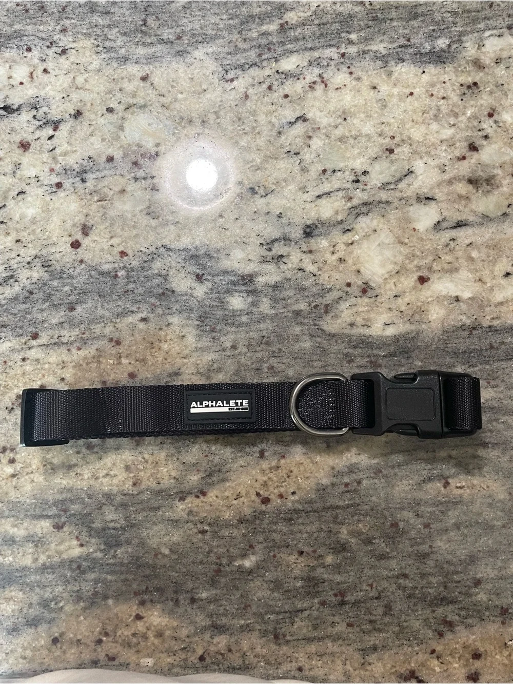 Alphalete Black Dog Collar